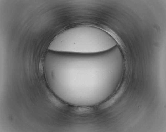 X0000114190857200910091026
