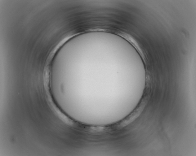 X0000114190859200910091026