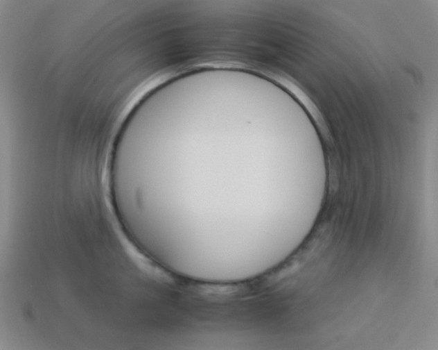 X0000114190861200910091026