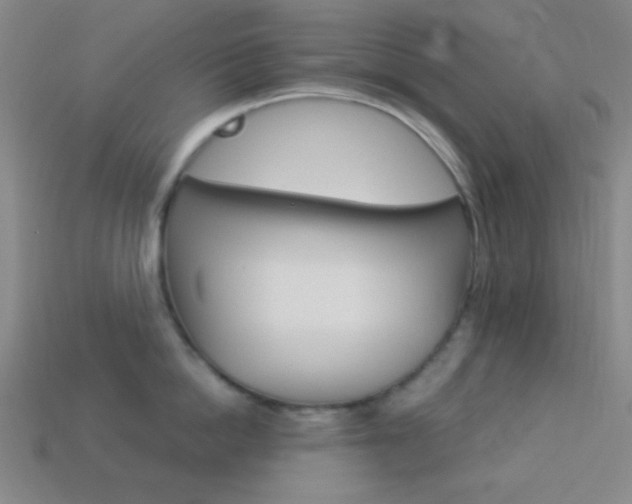 X0000114190862200910091026