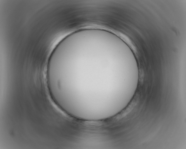 X0000114190863200910091026