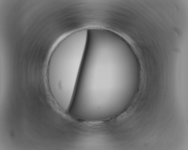 X0000114190864200910091026