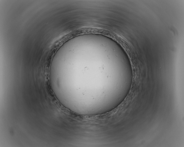 X0000114190870200910091026