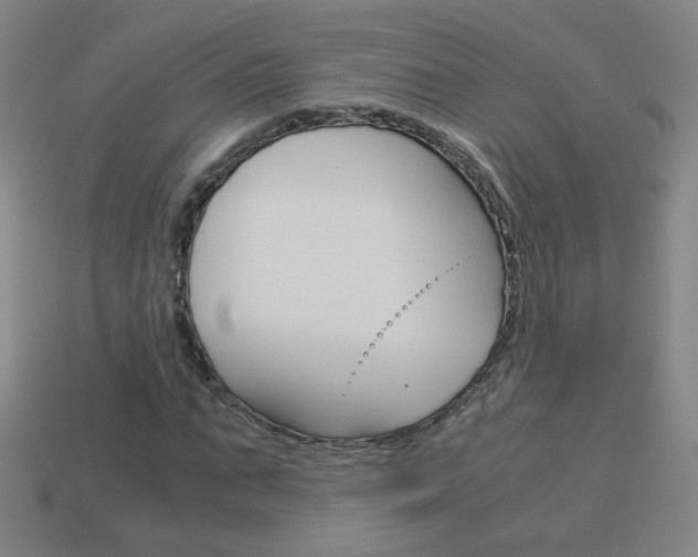 X0000114190871200910091026