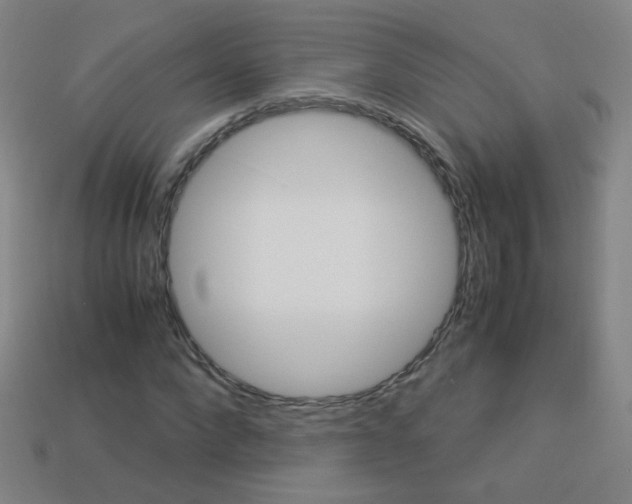 X0000114190872200910091026