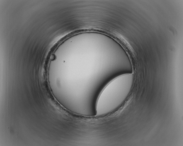 X0000114190876200910091026