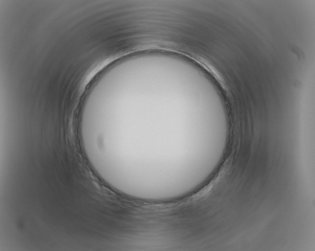 X0000114190877200910091026