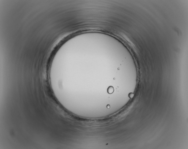 X0000114190883200910091026