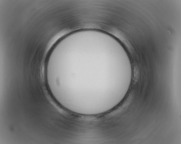X0000114190886200910091026