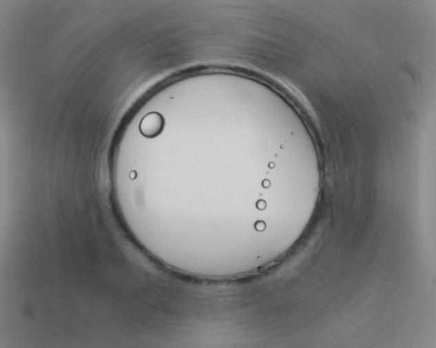 X0000114190887200910091026