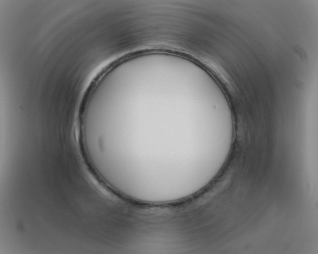 X0000114190888200910091026