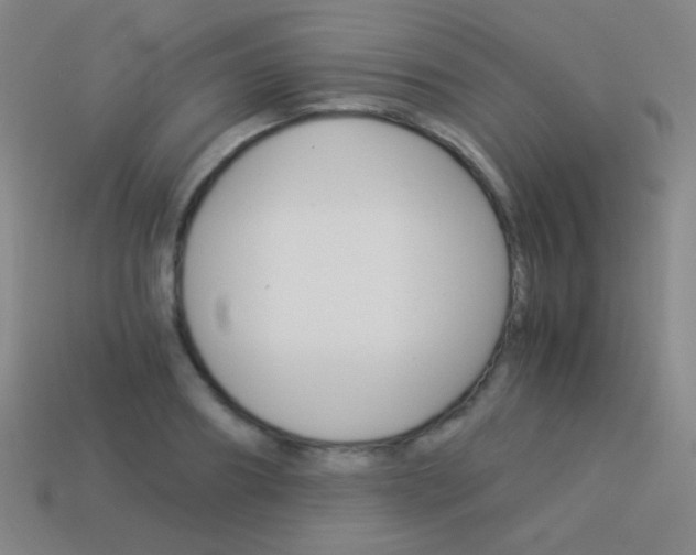 X0000114190890200910091026