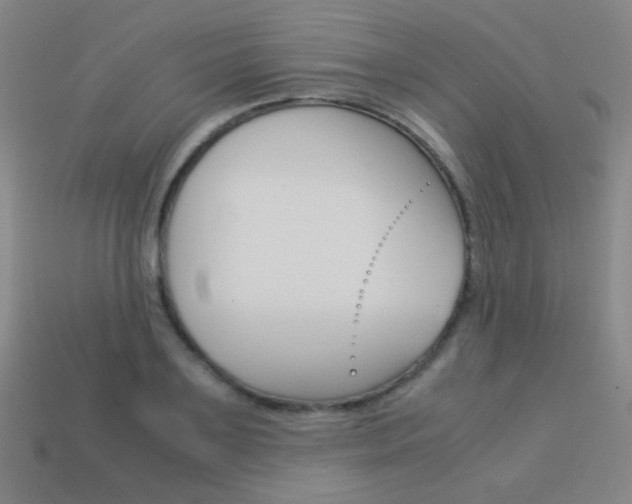 X0000114190891200910091026