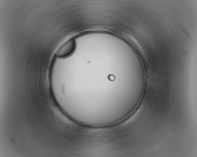 X0000114190892200910091026