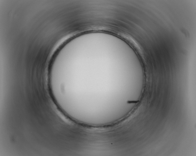 X0000114190894200910091026