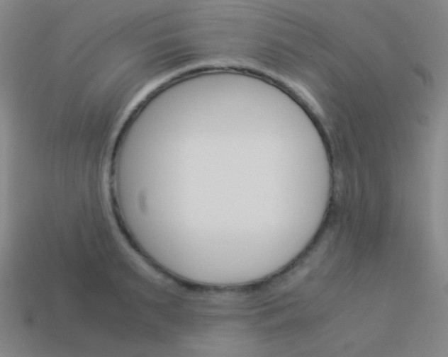 X0000114190895200910091025