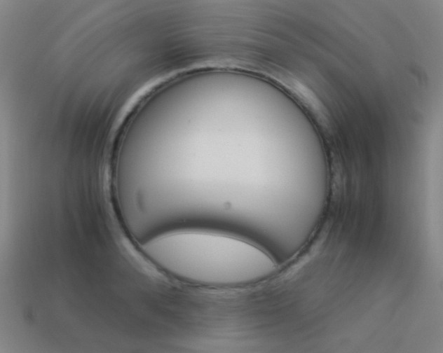 X0000114190896200910091025