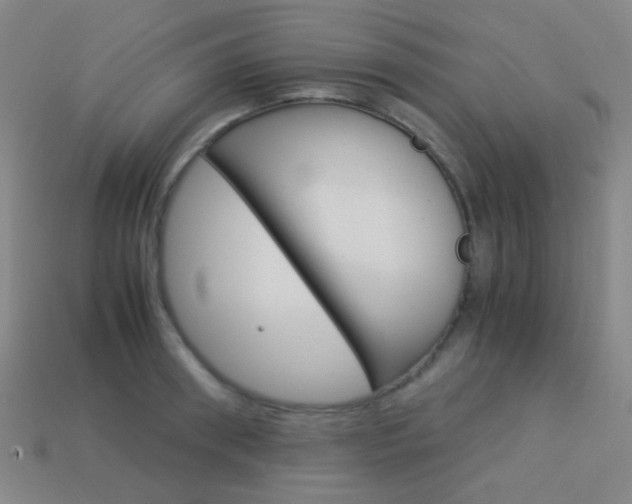 X0000114190898200910091025