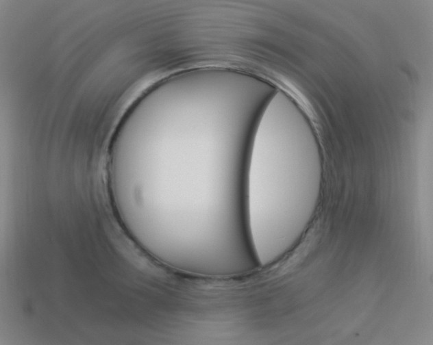 X0000114190899200910091025