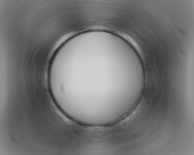 X0000114190902200910091025