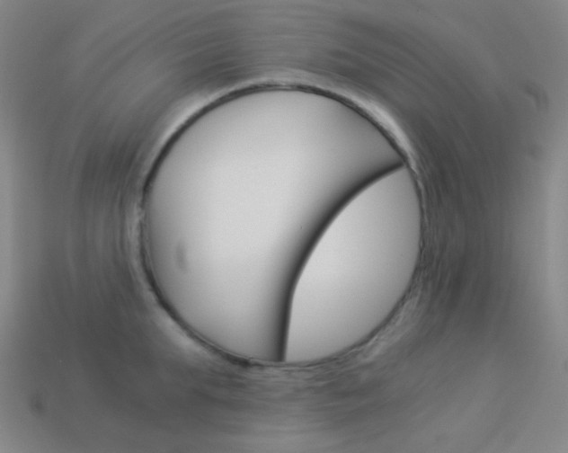 X0000114190903200910091025