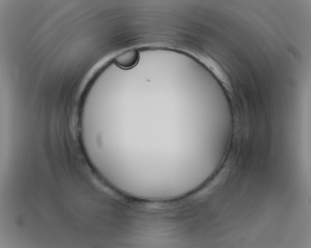 X0000114190904200910091025