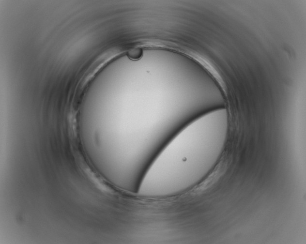 X0000114190906200910091025