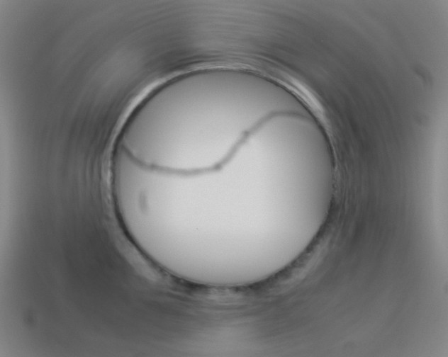 X0000114190907200910091025