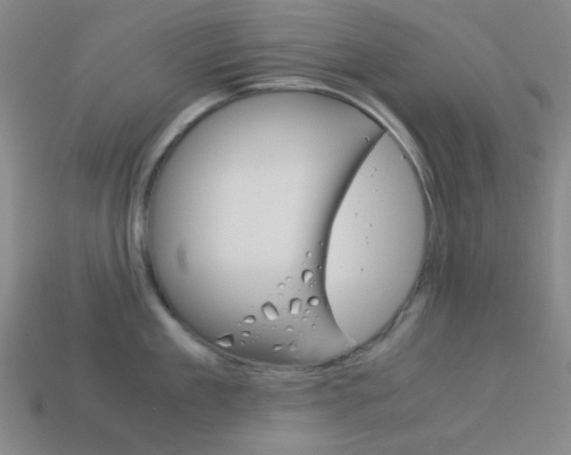 X0000114190909200910091025