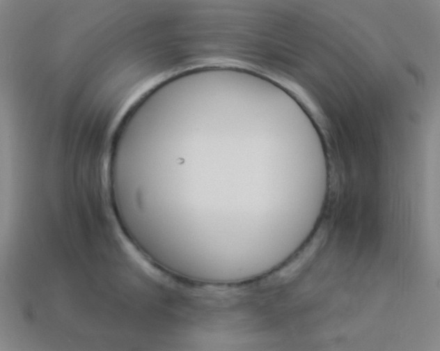 X0000114190910200910091025