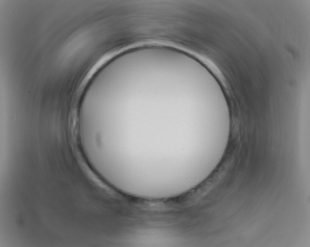 X0000114190911200910091025