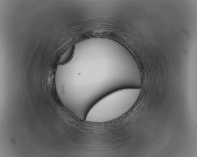 X0000114190914200910091025