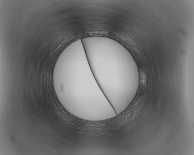 X0000114190915200910091025
