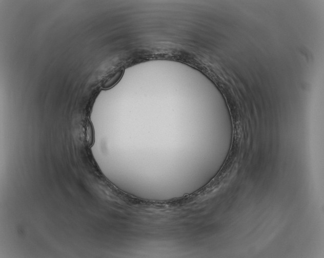 X0000114190916200910091025