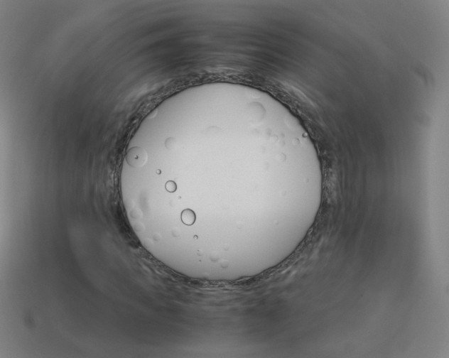 X0000114190917200910091025
