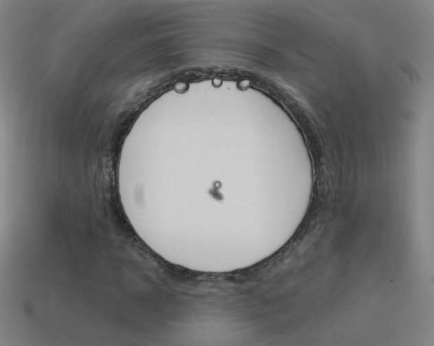 X0000114190918200910091025