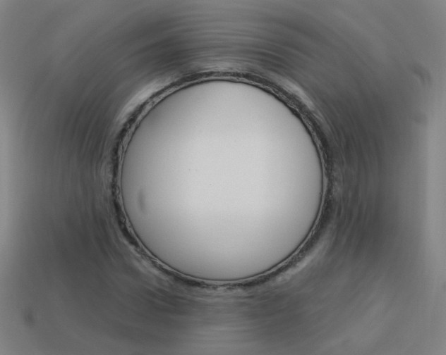 X0000114190922200910091025