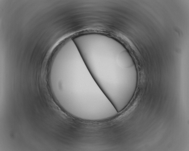 X0000114190923200910091025