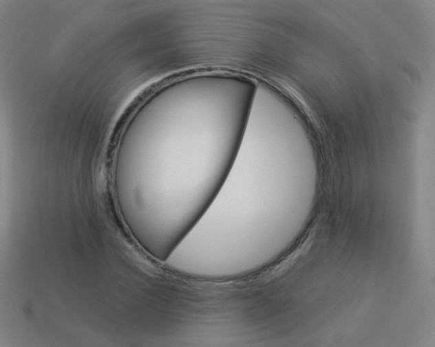 X0000114190924200910091025