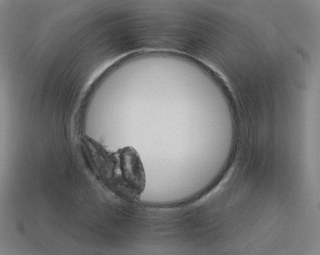 X0000114190925200910091025