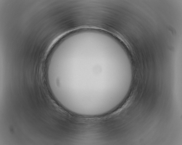 X0000114190926200910091025