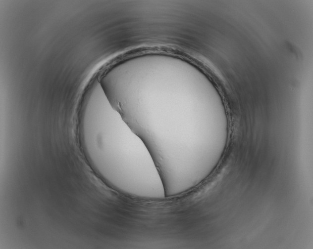 X0000114190927200910091025
