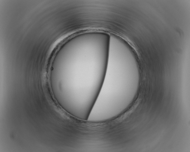 X0000114190928200910091025