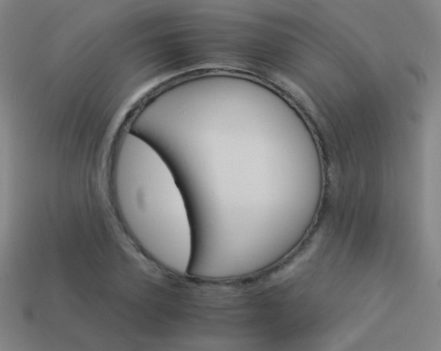 X0000114190931200910091025