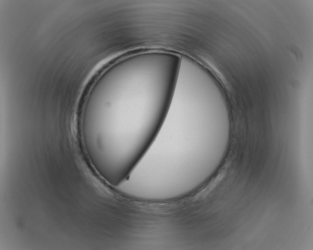 X0000114190932200910091025