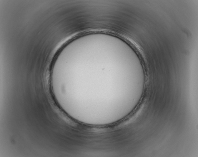 X0000114190933200910091025