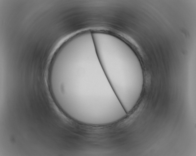 X0000114190935200910091025
