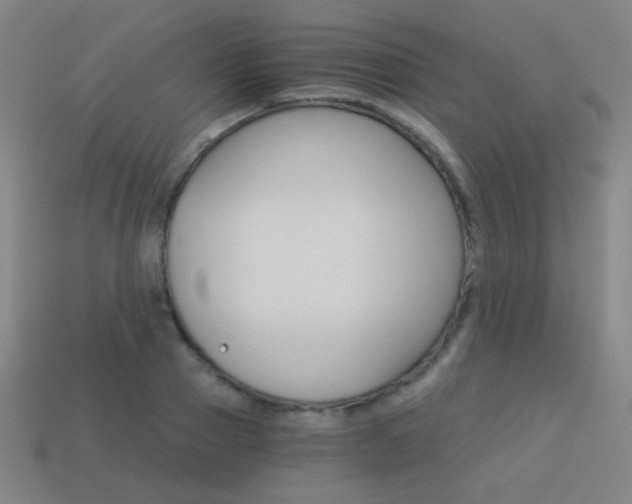 X0000114190937200910091025