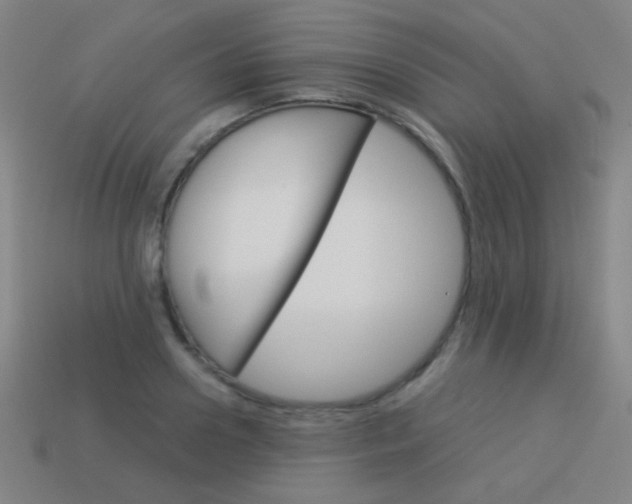X0000114190938200910091025