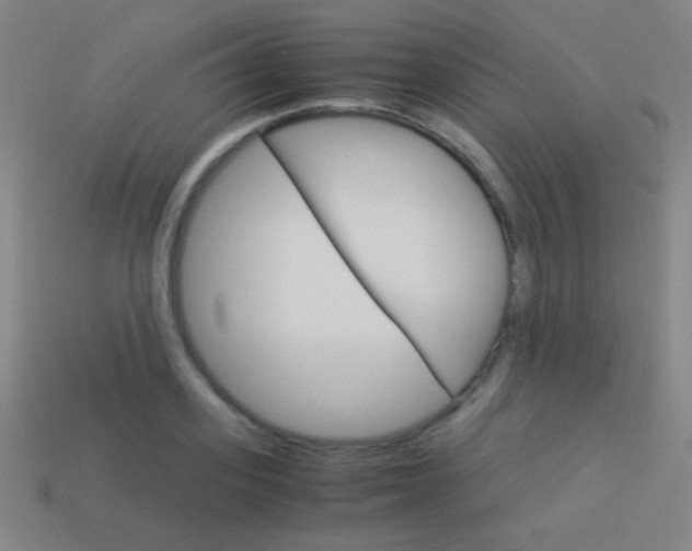 X0000114190939200910091025